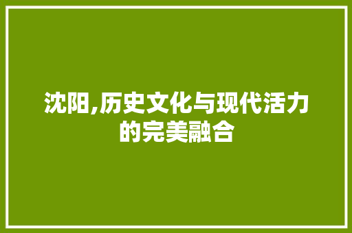 沈阳,历史文化与现代活力的完美融合