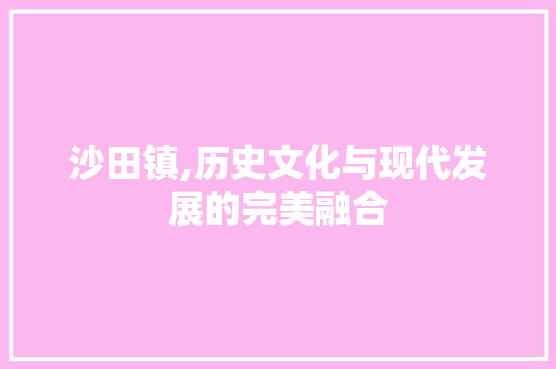 沙田镇,历史文化与现代发展的完美融合