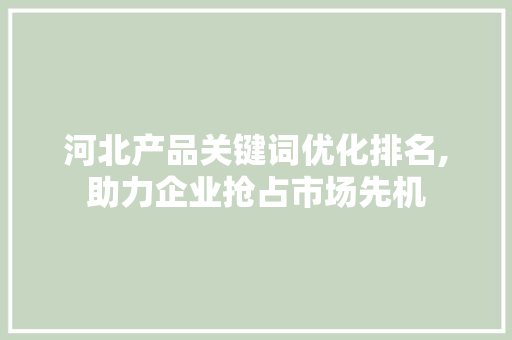 河北产品关键词优化排名,助力企业抢占市场先机