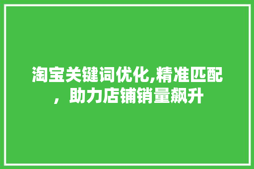 淘宝关键词优化,精准匹配，助力店铺销量飙升
