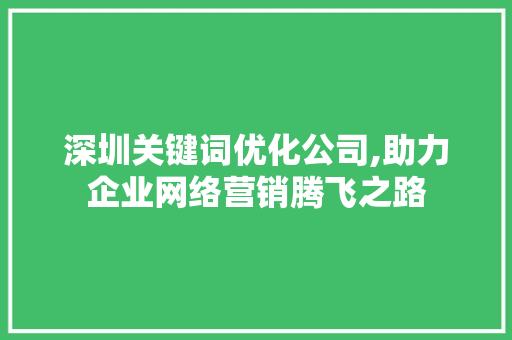 深圳关键词优化公司,助力企业网络营销腾飞之路