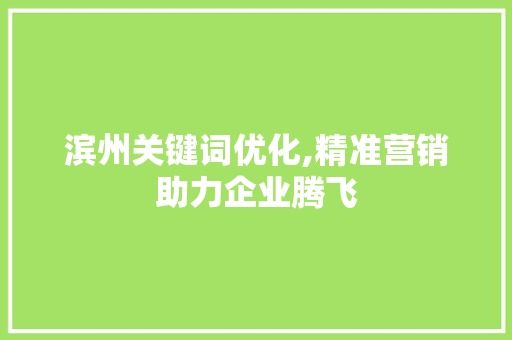 滨州关键词优化,精准营销助力企业腾飞
