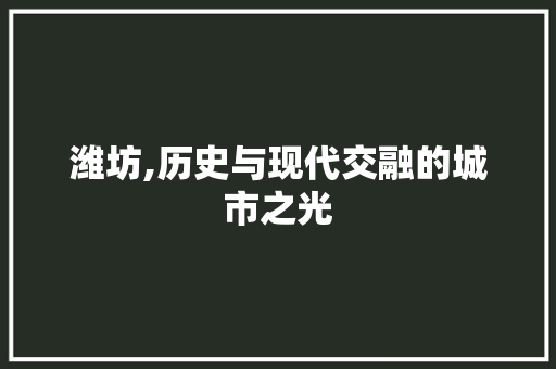 潍坊,历史与现代交融的城市之光