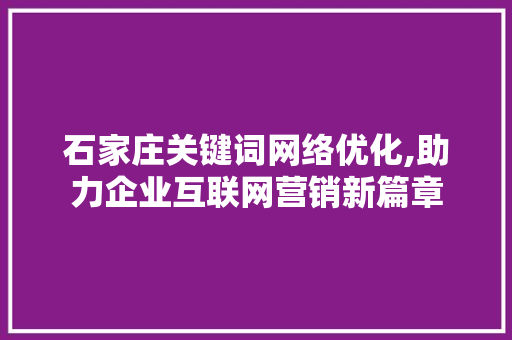 石家庄关键词网络优化,助力企业互联网营销新篇章  第1张