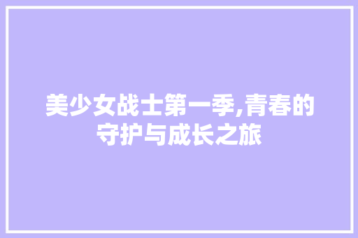 美少女战士第一季,青春的守护与成长之旅
