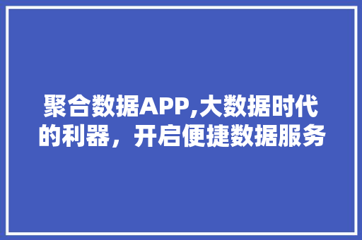 聚合数据APP,大数据时代的利器，开启便捷数据服务新篇章