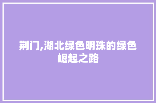 荆门,湖北绿色明珠的绿色崛起之路