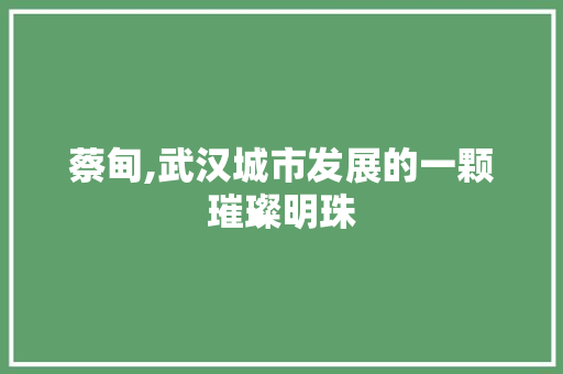 蔡甸,武汉城市发展的一颗璀璨明珠