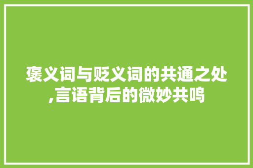 褒义词与贬义词的共通之处,言语背后的微妙共鸣