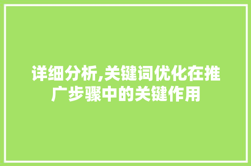 详细分析,关键词优化在推广步骤中的关键作用