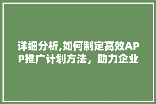 详细分析,如何制定高效APP推广计划方法，助力企业实现快速增长