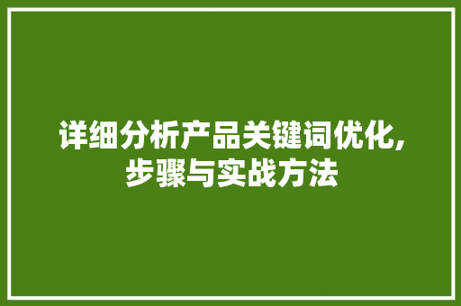 详细分析产品关键词优化,步骤与实战方法