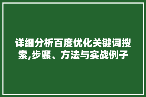 详细分析百度优化关键词搜索,步骤、方法与实战例子分析