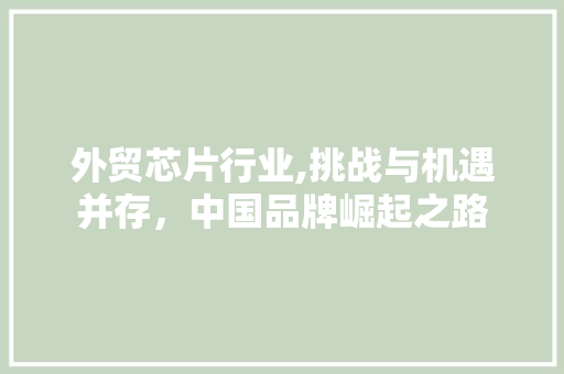 外贸芯片行业,挑战与机遇并存，中国品牌崛起之路