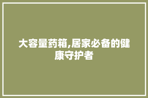 大容量药箱,居家必备的健康守护者