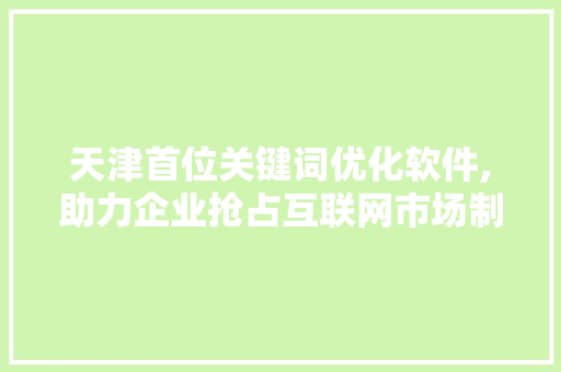 天津首位关键词优化软件,助力企业抢占互联网市场制高点