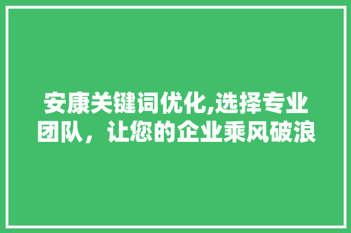 安康关键词优化,选择专业团队，让您的企业乘风破浪  第1张