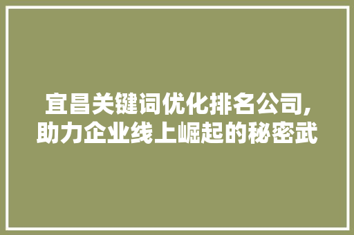 宜昌关键词优化排名公司,助力企业线上崛起的秘密武器