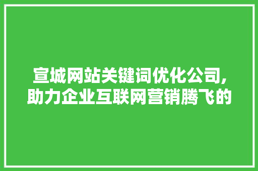 宣城网站关键词优化公司,助力企业互联网营销腾飞的关键力量  第1张