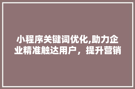 小程序关键词优化,助力企业精准触达用户，提升营销效果