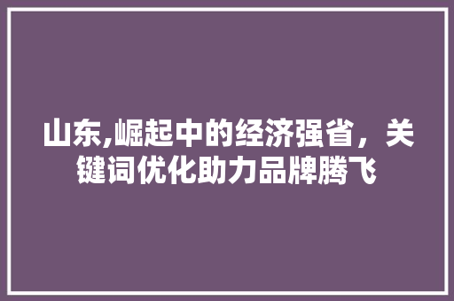 山东,崛起中的经济强省，关键词优化助力品牌腾飞