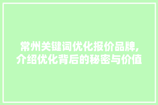 常州关键词优化报价品牌,介绍优化背后的秘密与价值