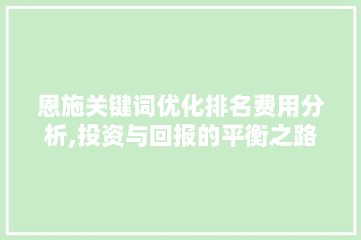 恩施关键词优化排名费用分析,投资与回报的平衡之路