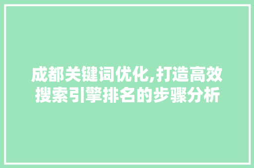 成都关键词优化,打造高效搜索引擎排名的步骤分析