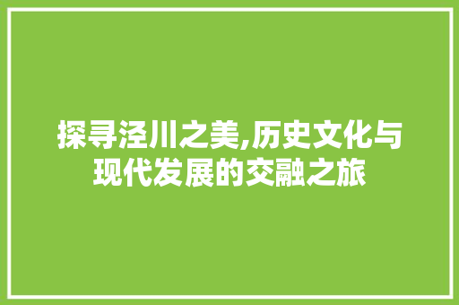探寻泾川之美,历史文化与现代发展的交融之旅