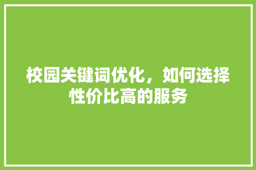 校园关键词优化，如何选择性价比高的服务