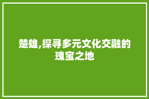 楚雄,探寻多元文化交融的瑰宝之地