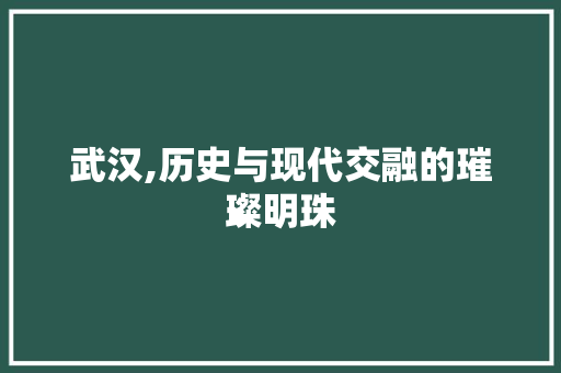 武汉,历史与现代交融的璀璨明珠
