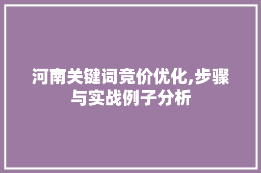 河南关键词竞价优化,步骤与实战例子分析