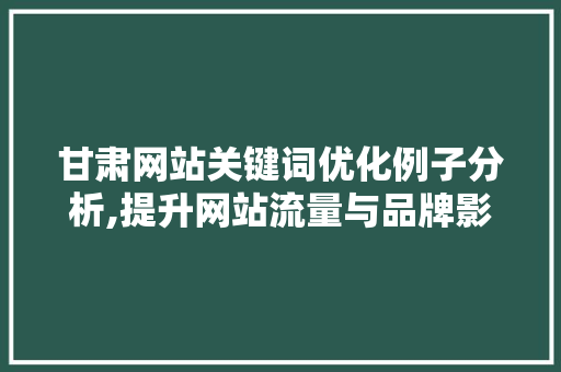 甘肃网站关键词优化例子分析,提升网站流量与品牌影响力的方法
