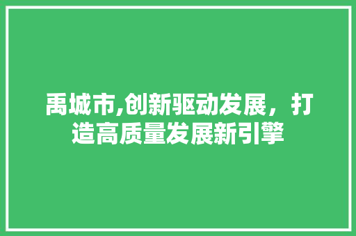 禹城市,创新驱动发展，打造高质量发展新引擎