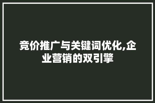 竞价推广与关键词优化,企业营销的双引擎  第1张