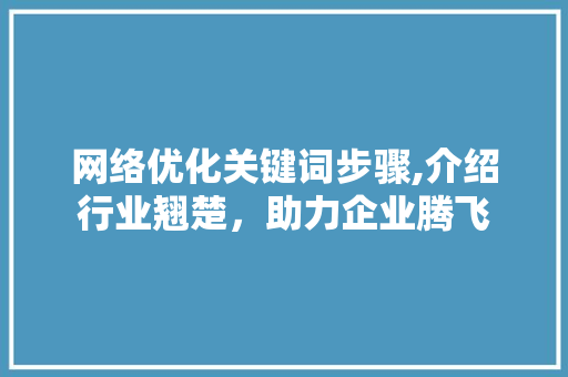 网络优化关键词步骤,介绍行业翘楚，助力企业腾飞