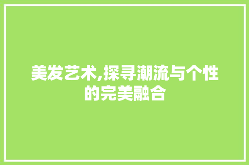 美发艺术,探寻潮流与个性的完美融合