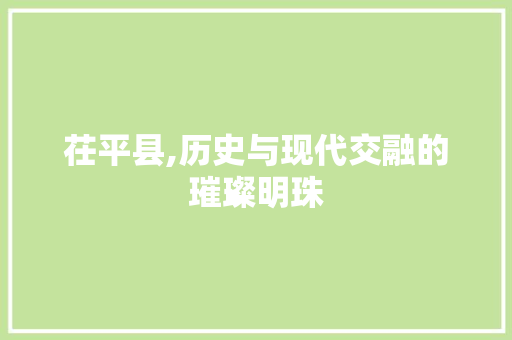 茌平县,历史与现代交融的璀璨明珠