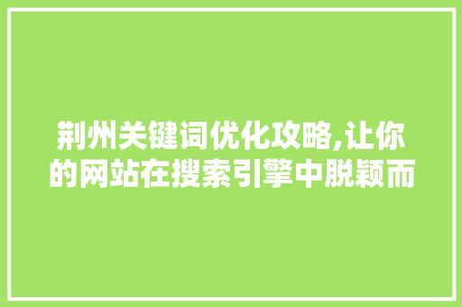 荆州关键词优化攻略,让你的网站在搜索引擎中脱颖而出