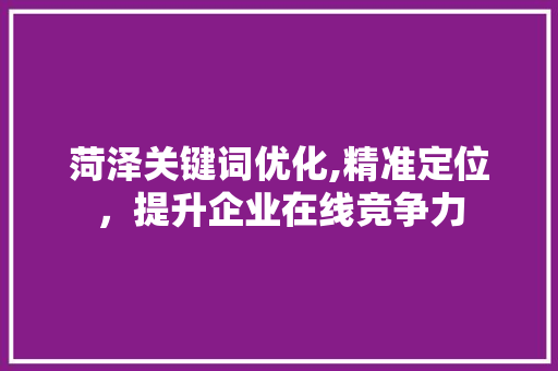 菏泽关键词优化,精准定位，提升企业在线竞争力
