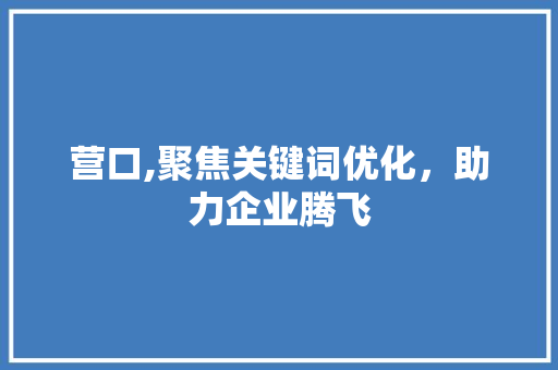 营口,聚焦关键词优化，助力企业腾飞