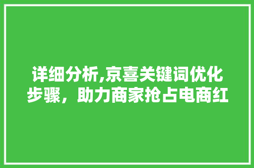 详细分析,京喜关键词优化步骤，助力商家抢占电商红利  第1张