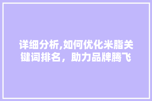详细分析,如何优化米脂关键词排名，助力品牌腾飞