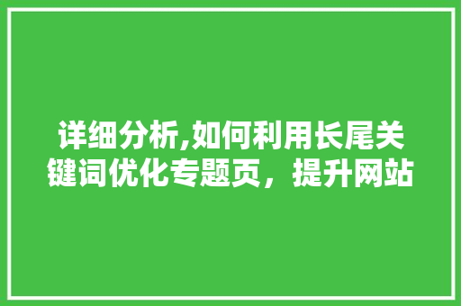 详细分析,如何利用长尾关键词优化专题页，提升网站流量