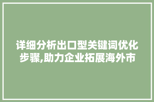 详细分析出口型关键词优化步骤,助力企业拓展海外市场