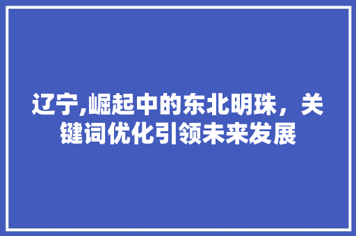 辽宁,崛起中的东北明珠，关键词优化引领未来发展