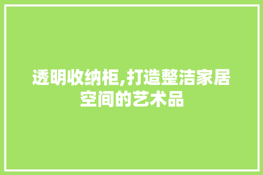 透明收纳柜,打造整洁家居空间的艺术品