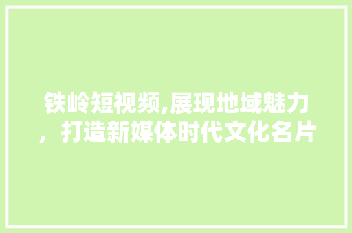 铁岭短视频,展现地域魅力，打造新媒体时代文化名片