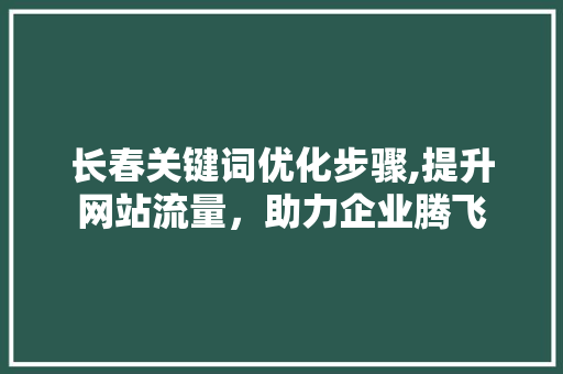 长春关键词优化步骤,提升网站流量，助力企业腾飞  第1张